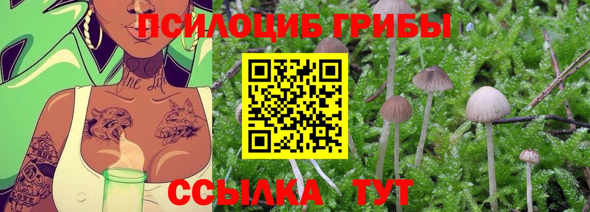 Галлюциногенные грибы Cubensis Выкса