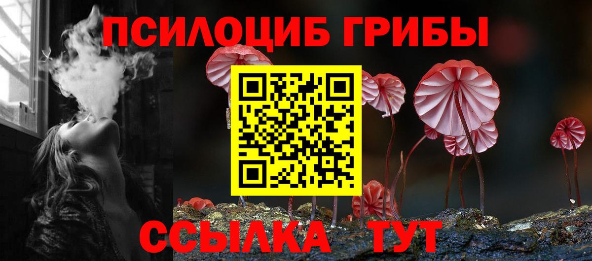 Псилоцибиновые грибы Magic Shrooms  Вход с VPN  Галлюциногенные грибы GOLDEN TEACHER  цена наркотик  Выкса 